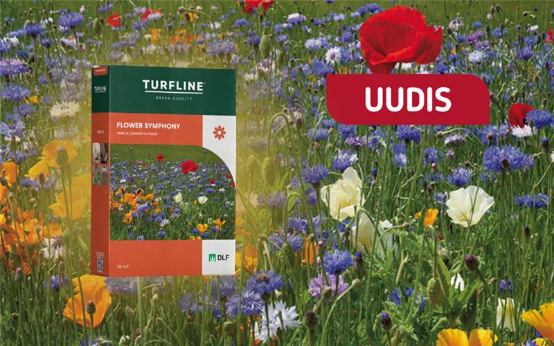 Lase oma aial õitseda!